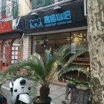  Shanghai  s Best Cat  Cafe  UnTour Food Tours